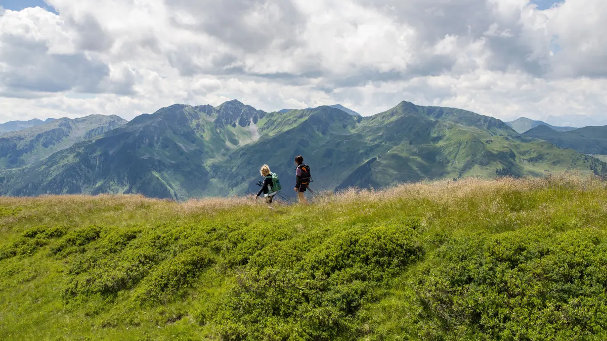 Oberau Summer Walk Copyright TVB Wildschoenau Dabernig