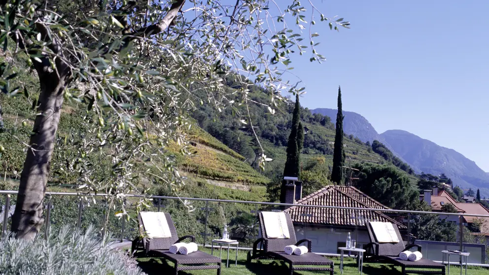 Hotel Sittnerhof Garden