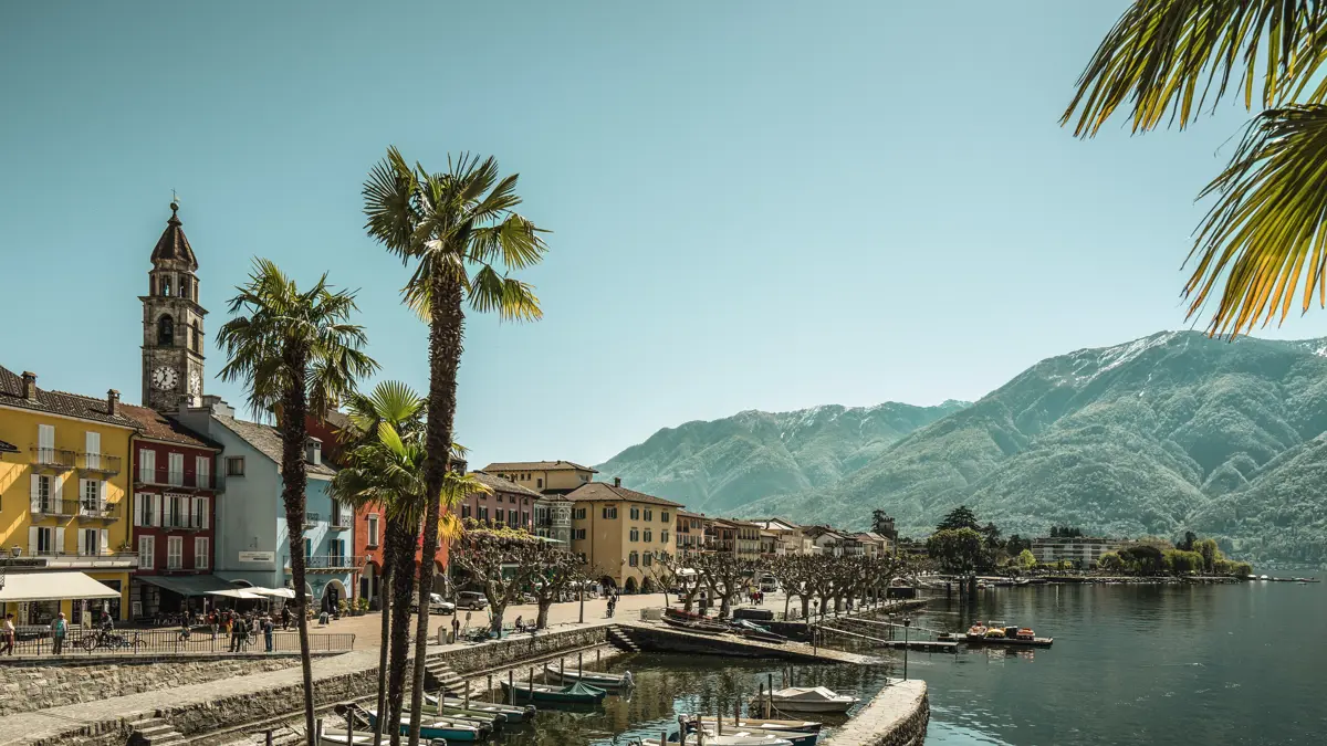 Ascona Switzerland Palm Trees And Lake Maggiore