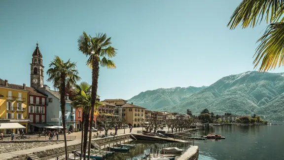 Ascona Switzerland Palm Trees And Lake Maggiore