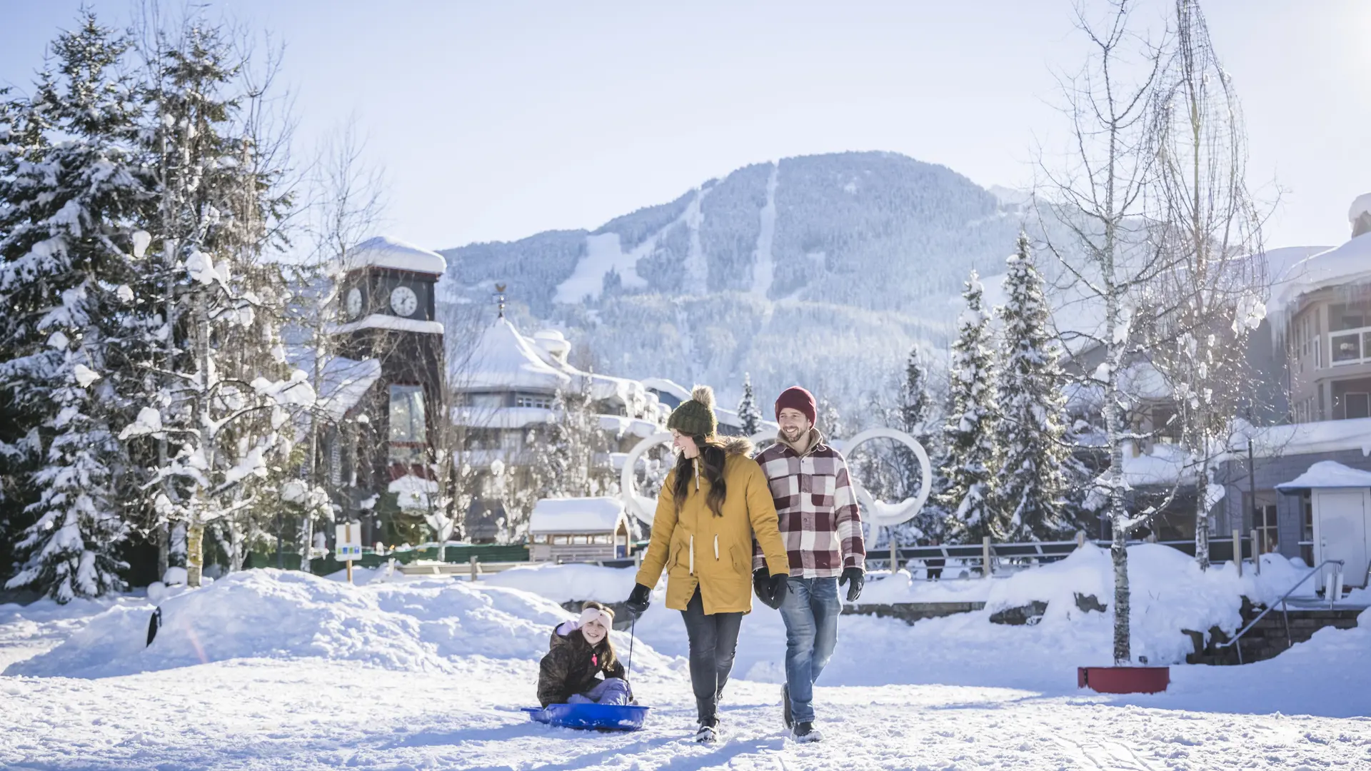 Hero Banner Background Video or Image