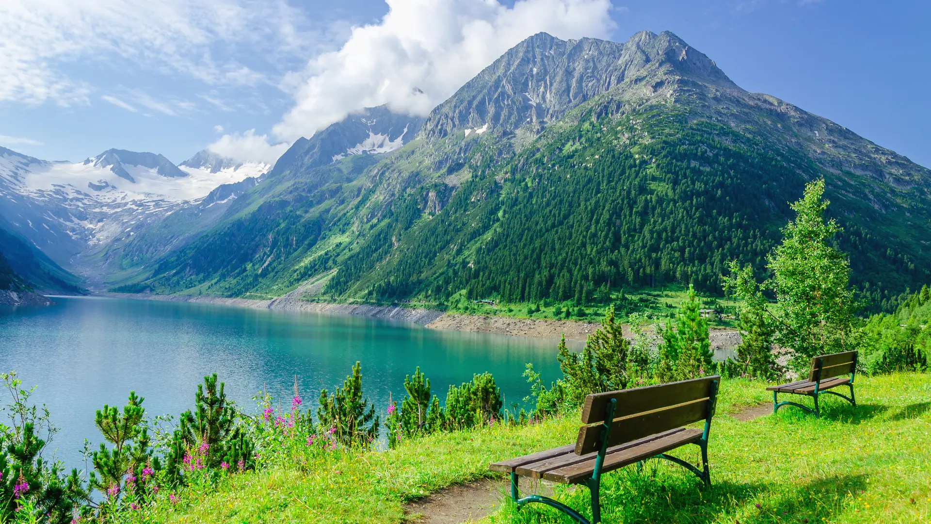 Hero Banner Background Video or Image