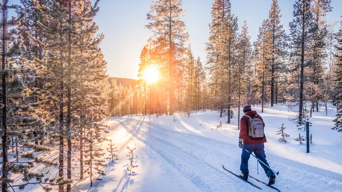 Guide Lapland Skiing In Lapland