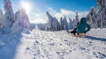 Tobogganing