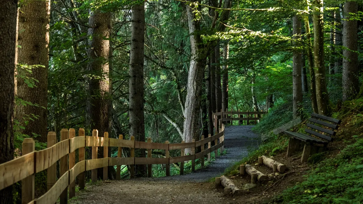 Westendorf Wohlfuehlweg Walking Trail