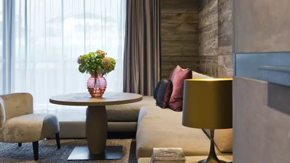 Premium room living area