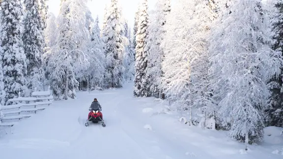 A man drives a Snowmobile through a clearing of trees in Lapland, surrounded by endless tundra as a bright sun shines through.