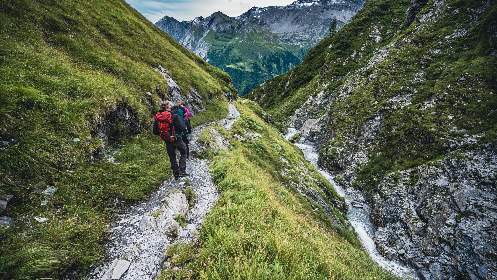 Hero Banner Background Video or Image