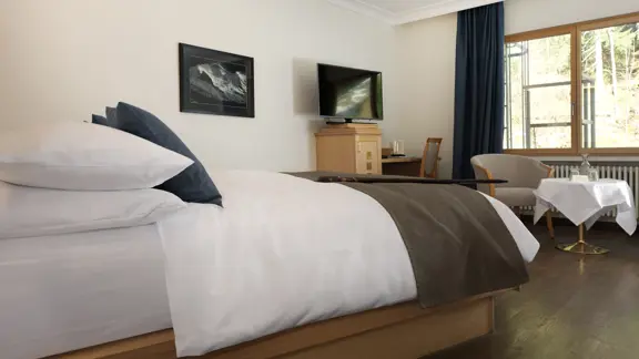 Forest side Austrian twin room