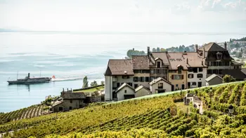 The Montreux Lavaux vineyard stretches in orderly rows across sun-kissed terraces, overlooking the shimmering waters of Lake Geneva with the Alps rising majestically in the background.
