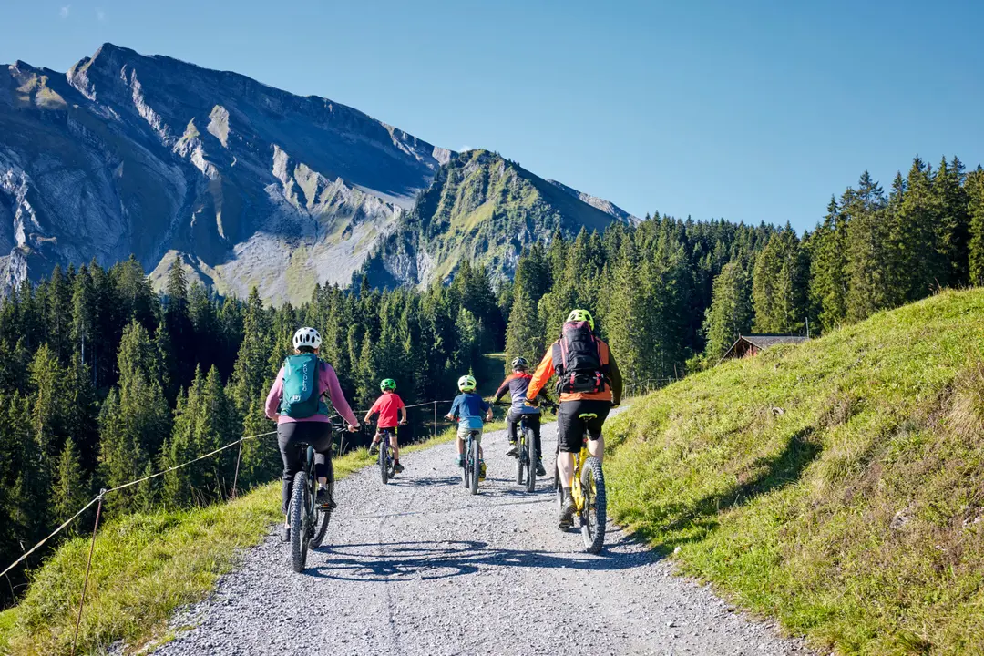Family Biking At The Stockhütte ©Beat Brechbühl/Lucerne Tourism