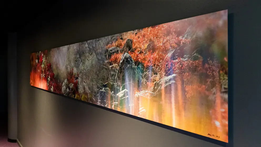 Design Hotel Levi Artwork [7]