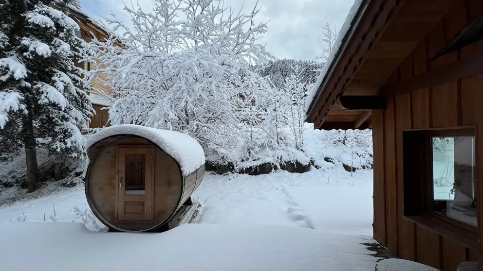 Chalet Jardin Alpin La Tania Sauna Snowy [2]