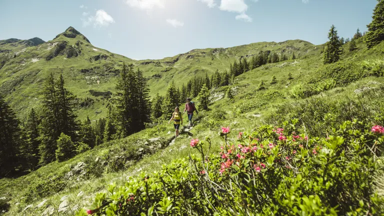 A scenic view of a landscape