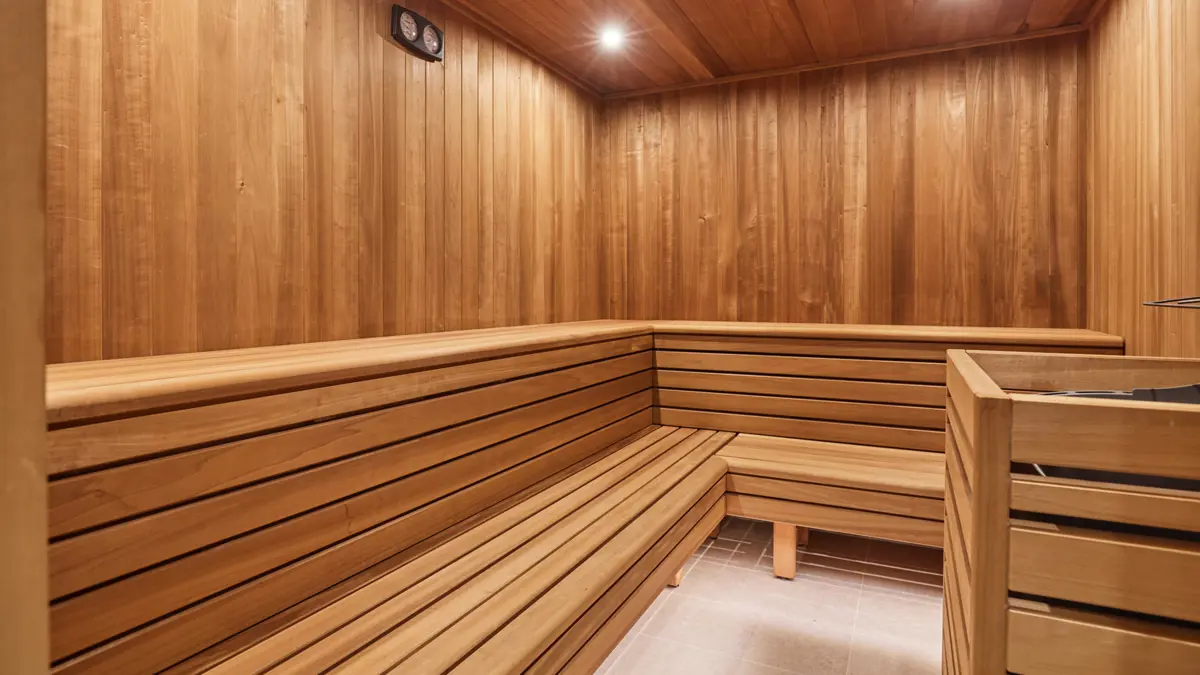 Residence Ecrin Blanc La Rosiere Sauna