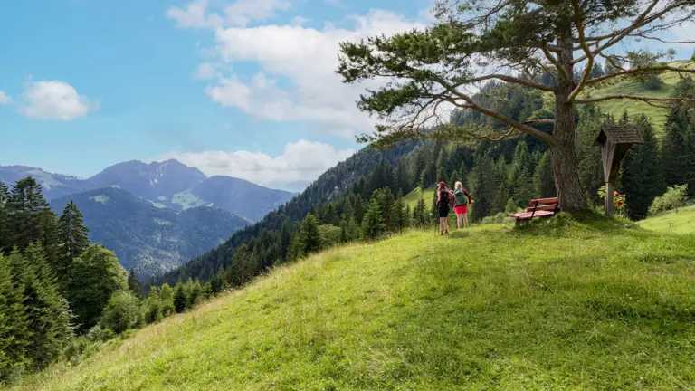 A scenic view of a landscape
