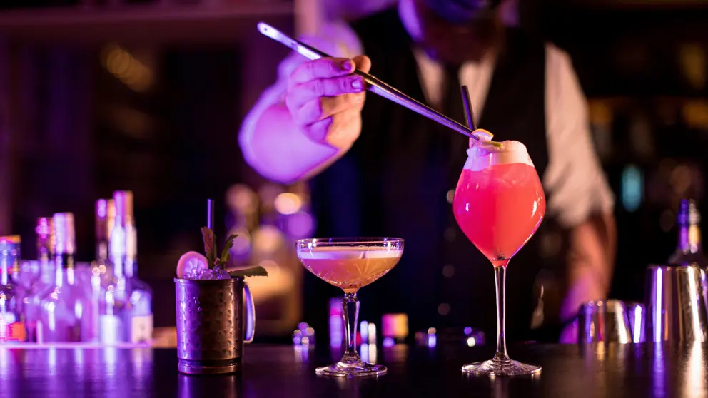Hotel Carlina La Plagne Bar [9]