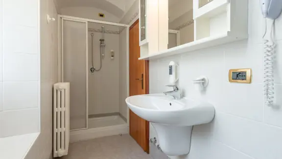 Standard Alpina Room Bathroom