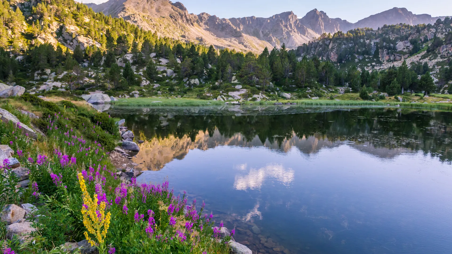 Hero Banner Background Video or Image