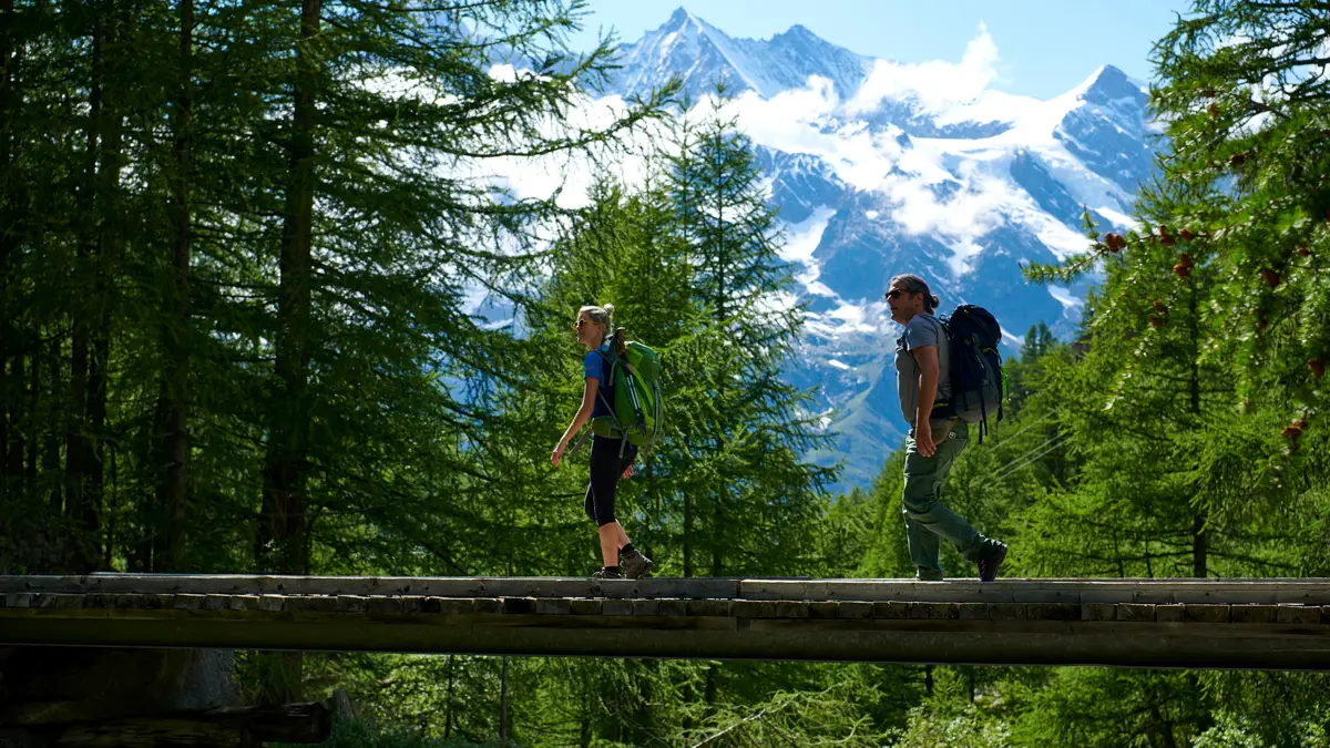 Hiking Almageller Heights Trail Adventure Trail