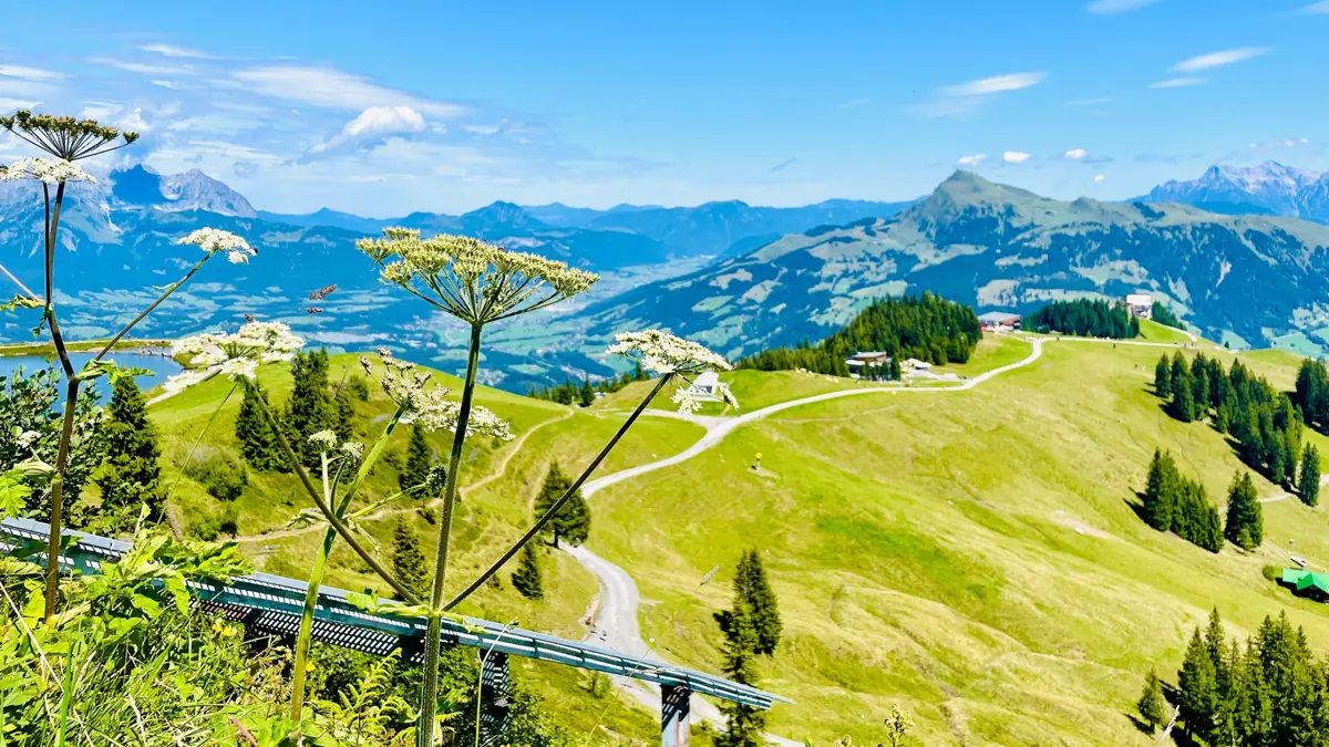 Kitzbuhel Panorama Trail On The Hahnenkamm