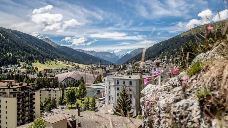 A scenic view of a landscape