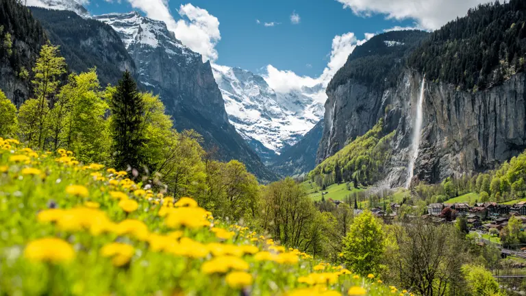 A scenic view of a landscape