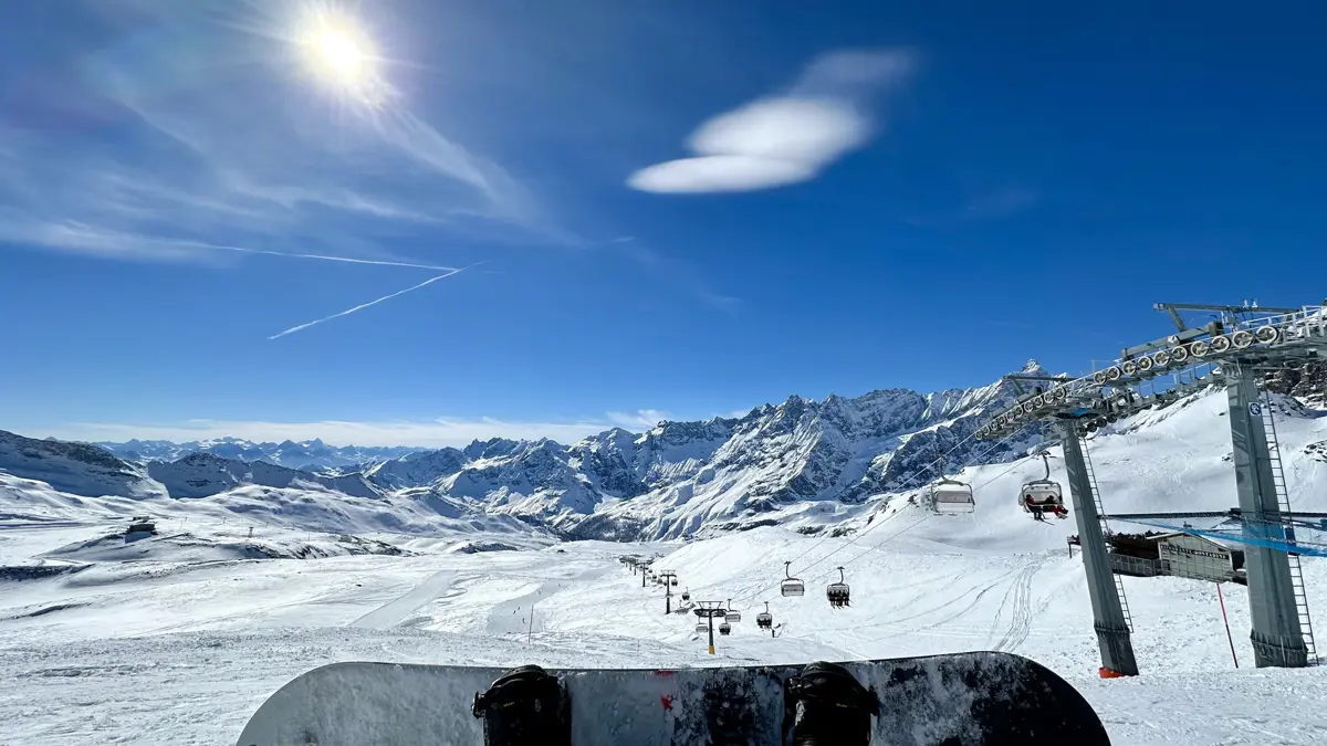Bluebird Days