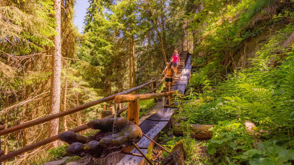 Nendaz Bisse irrigation channels 