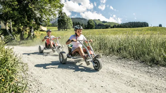 St.Johann Mountain Carting