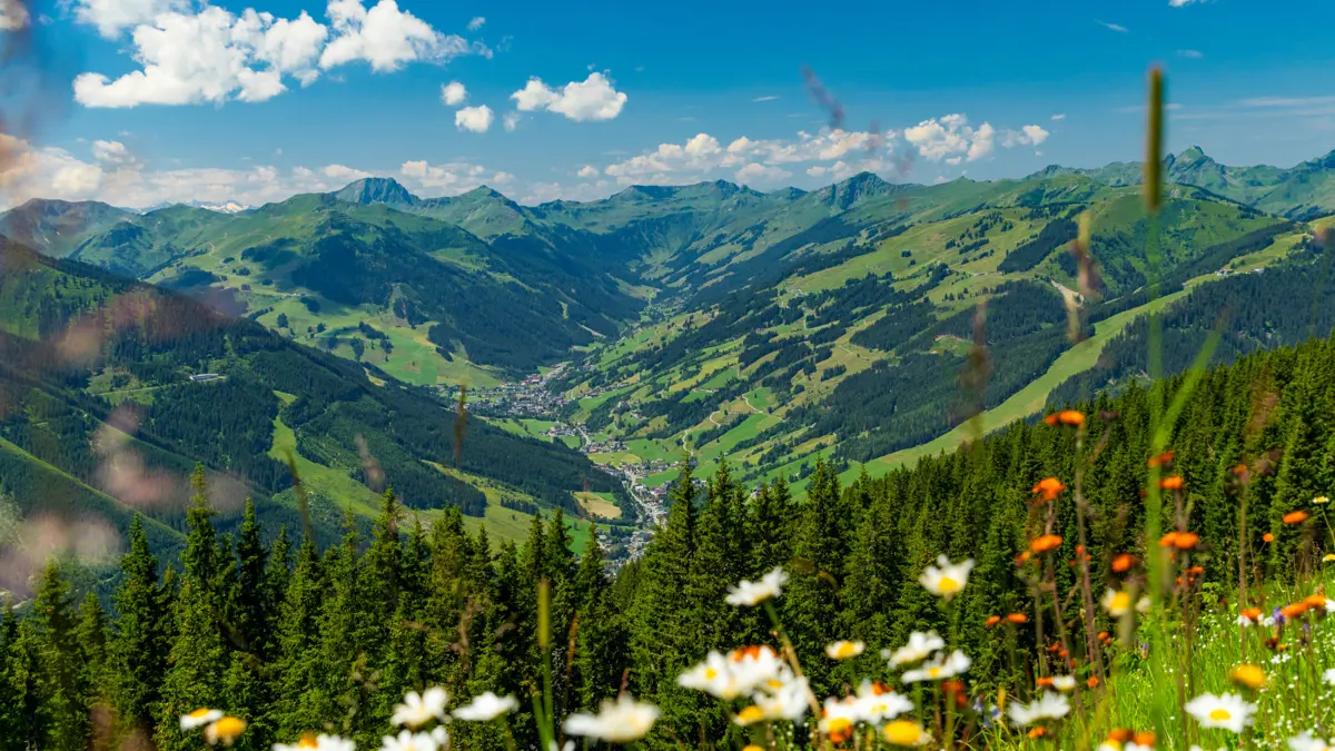 Saalbach Hinterglemm, Austria (1)