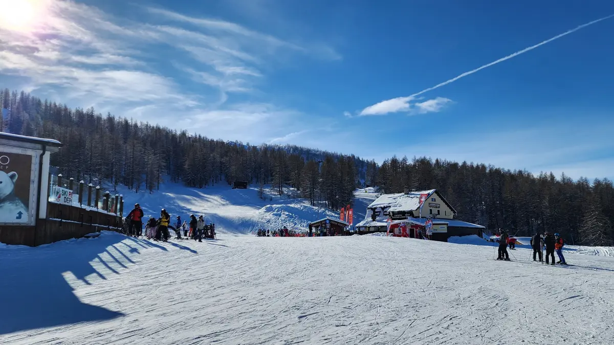 Bluebird day