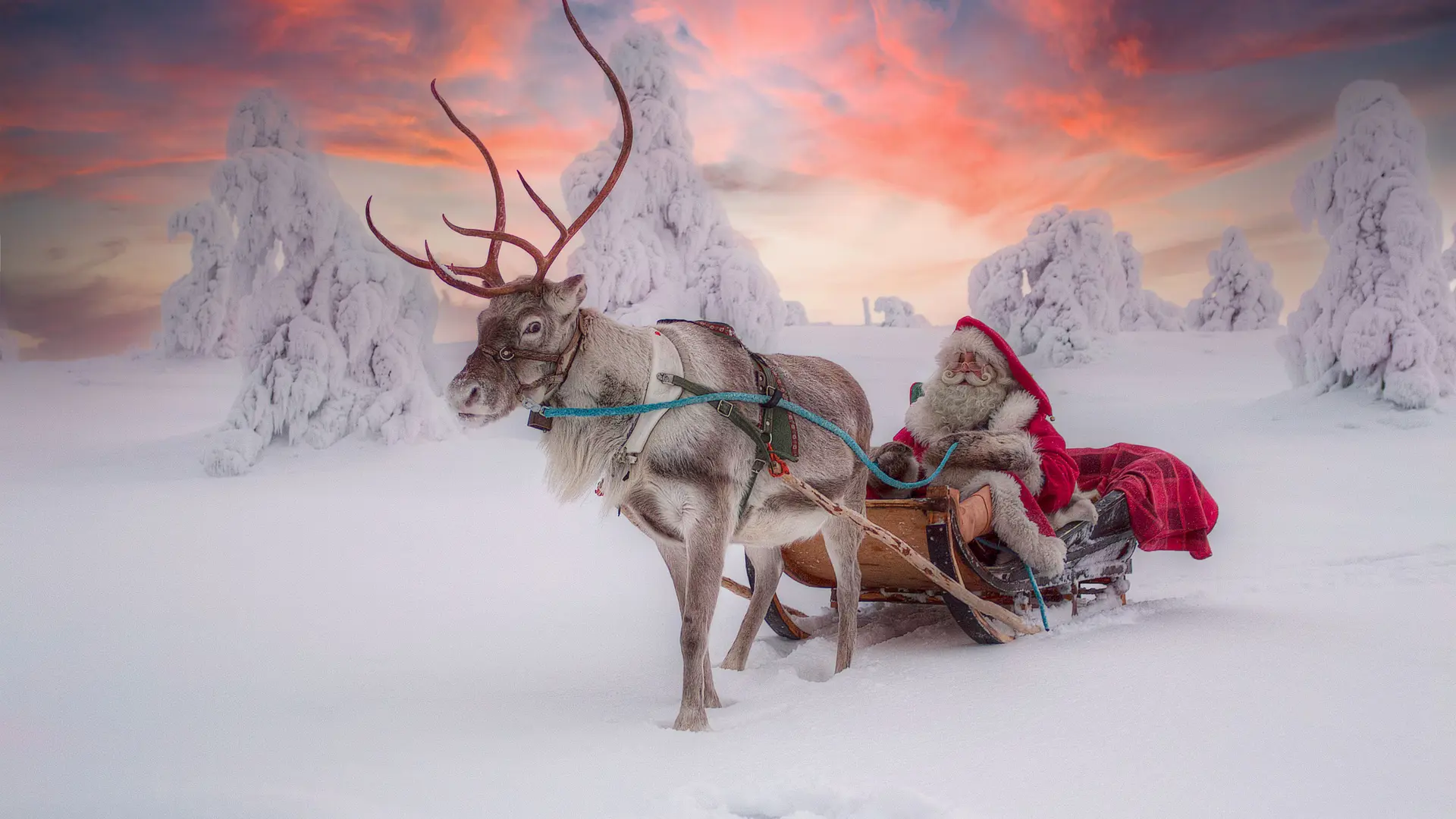 Hero Banner Background Video or Image