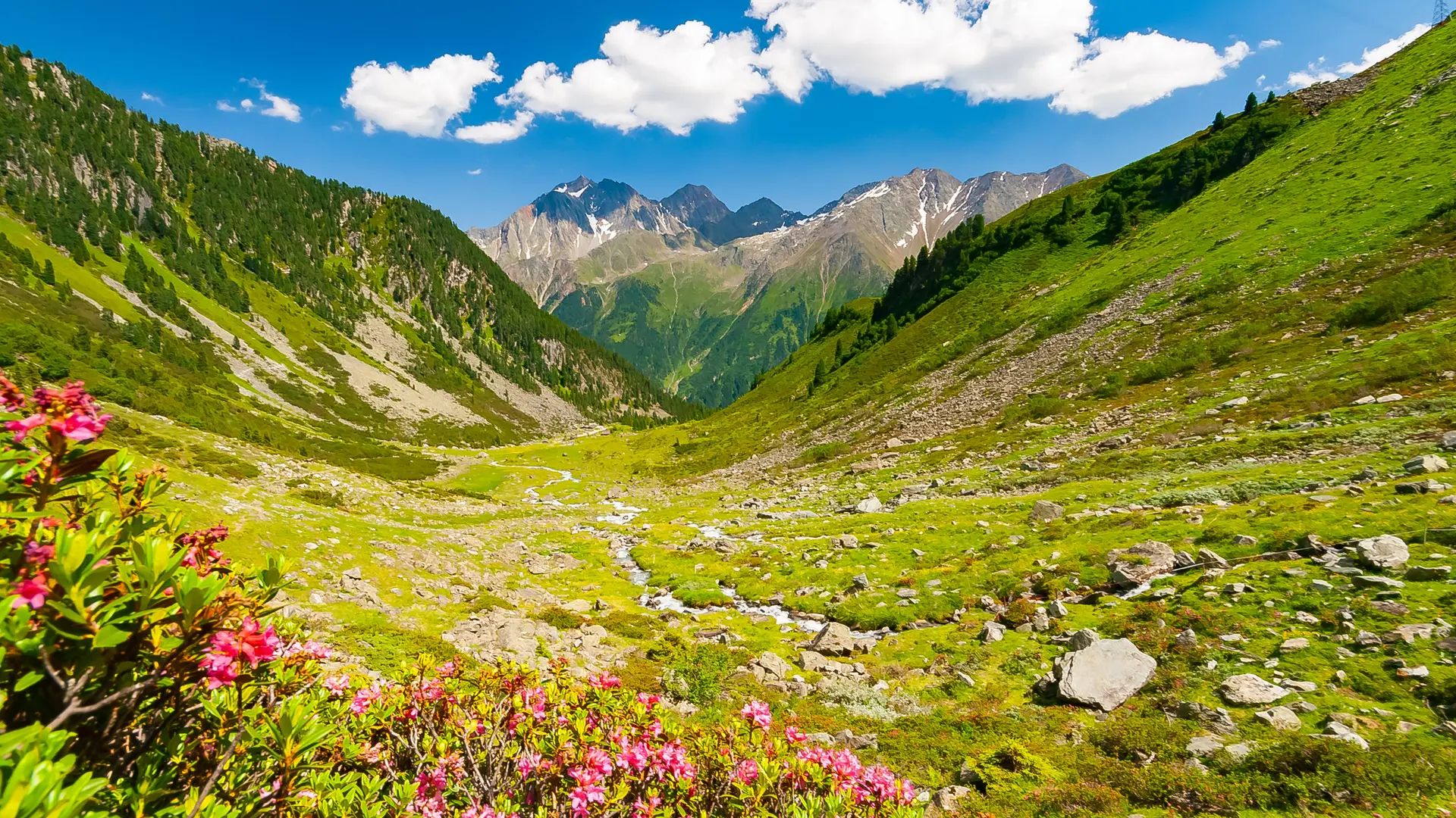 Hero Banner Background Video or Image