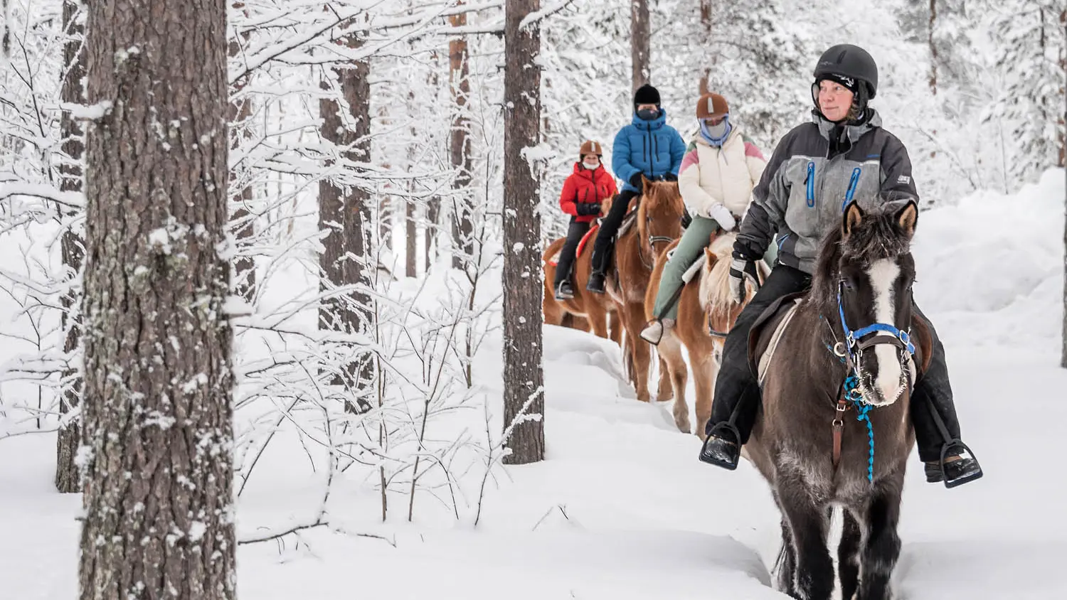 Hero Banner Background Video or Image