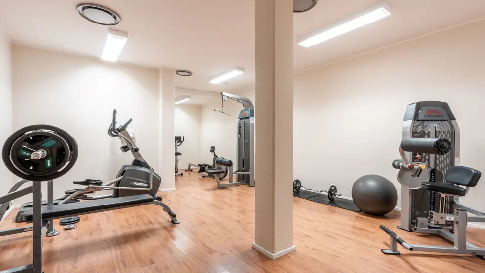 Ustedalen Hotel Geilo Fitness Room [6]