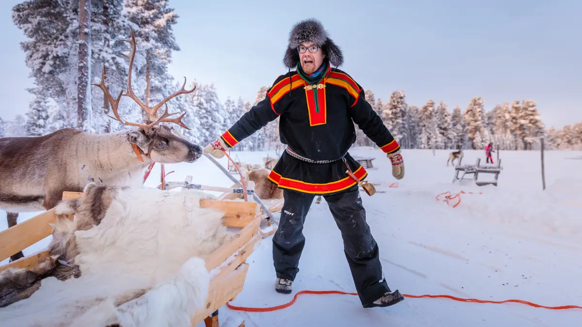 Wilderness Hotels Saariselka Reindeer