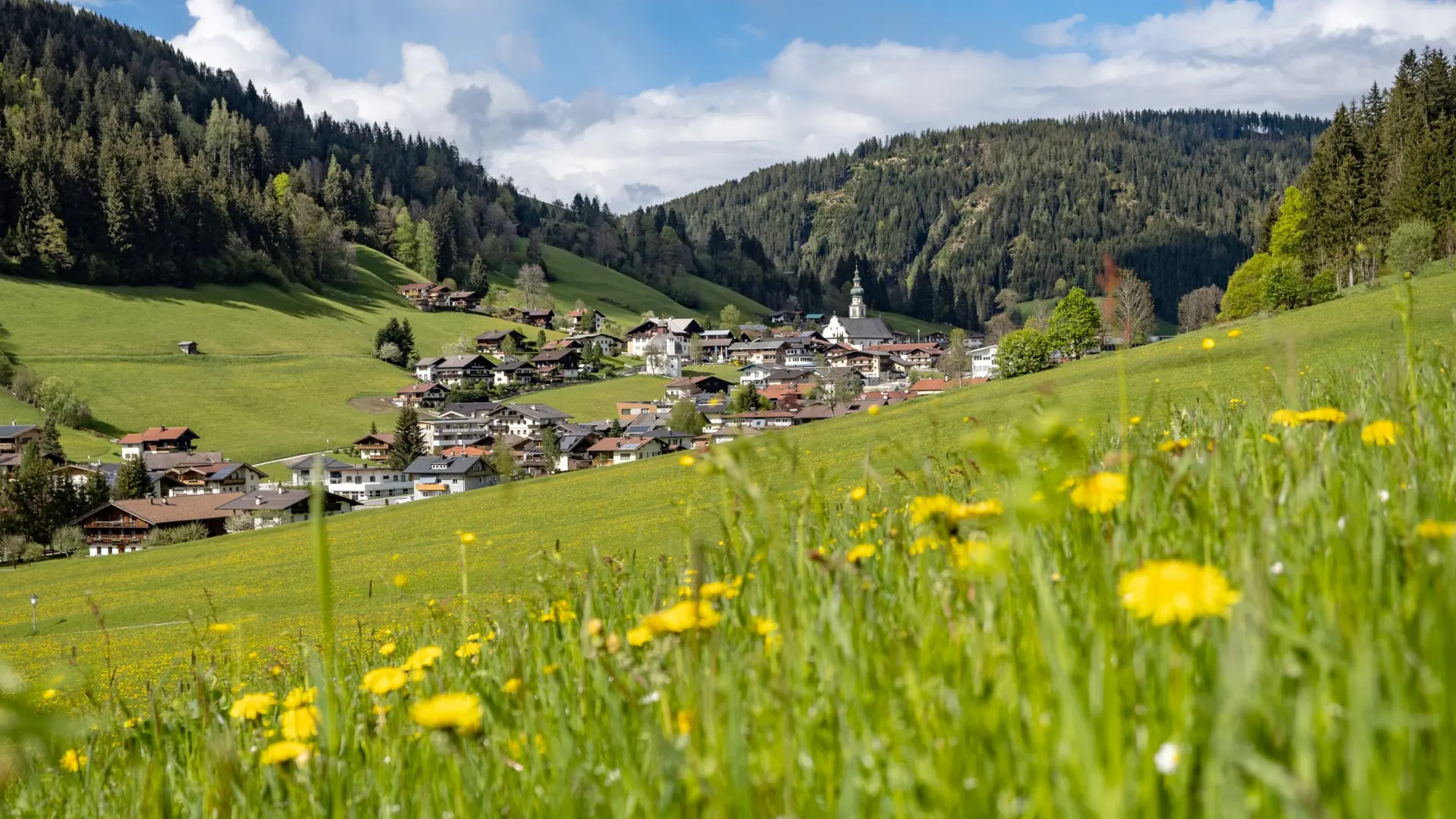 Hero Banner Background Video or Image