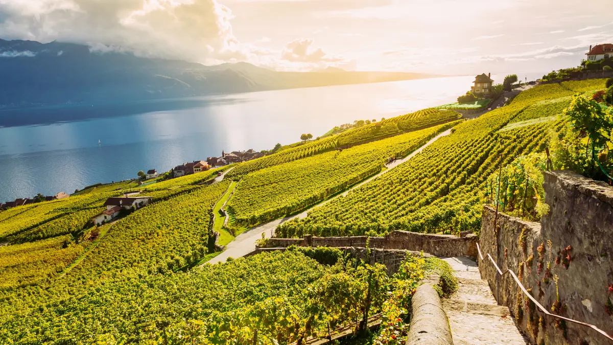 Lavaux Switzerland
