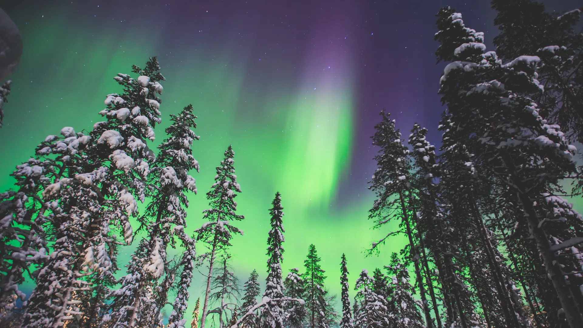 Hero Banner Background Video or Image