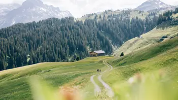 Couple walking together in the distance across a vast, scenic landscape of the Lech mountains under a clear sky.