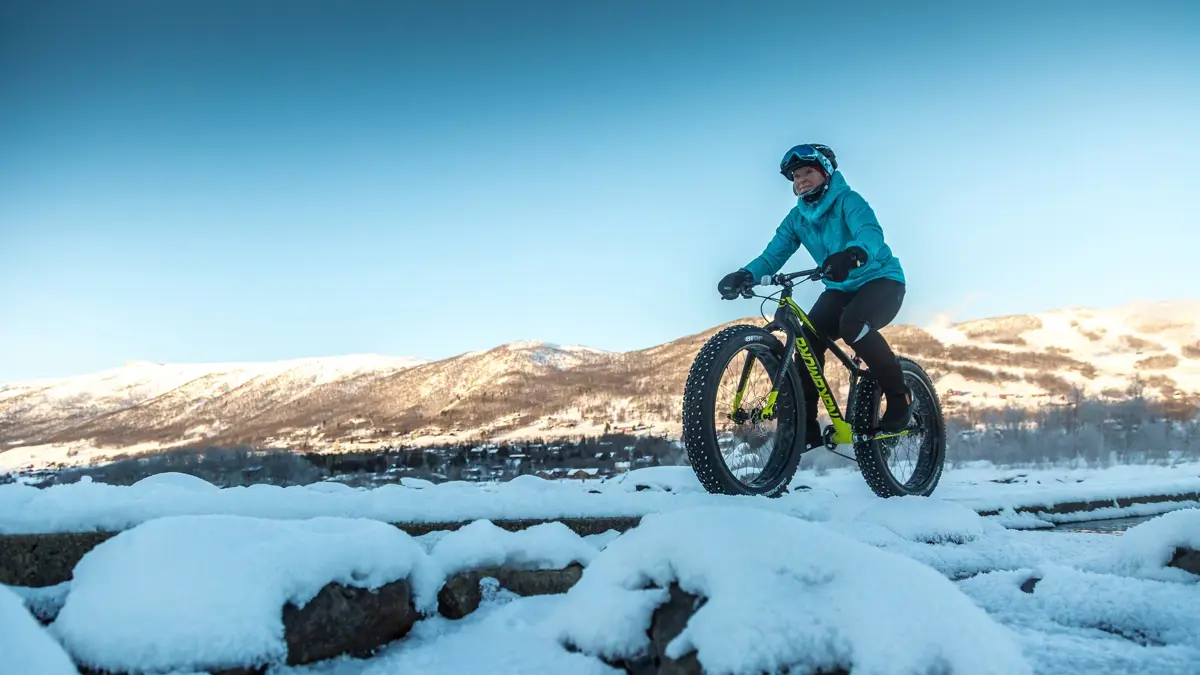 Geilo Norway Fat Biking