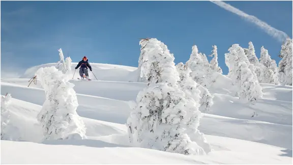 Avoriaz Portes Du Soleil Off Piste Opportunities @Avoriaz 1800