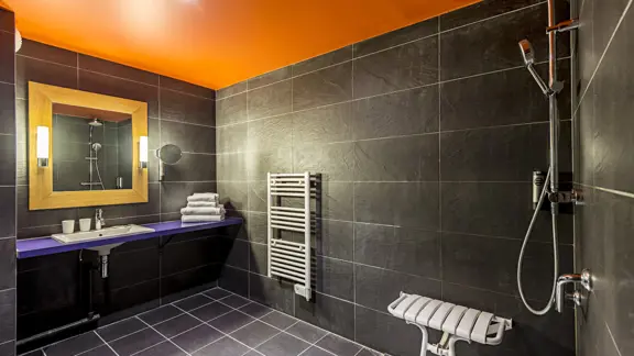 Standard shower room