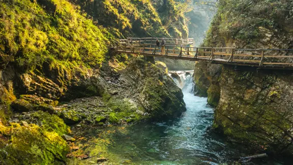 Lake Bled Vintgar Gorge