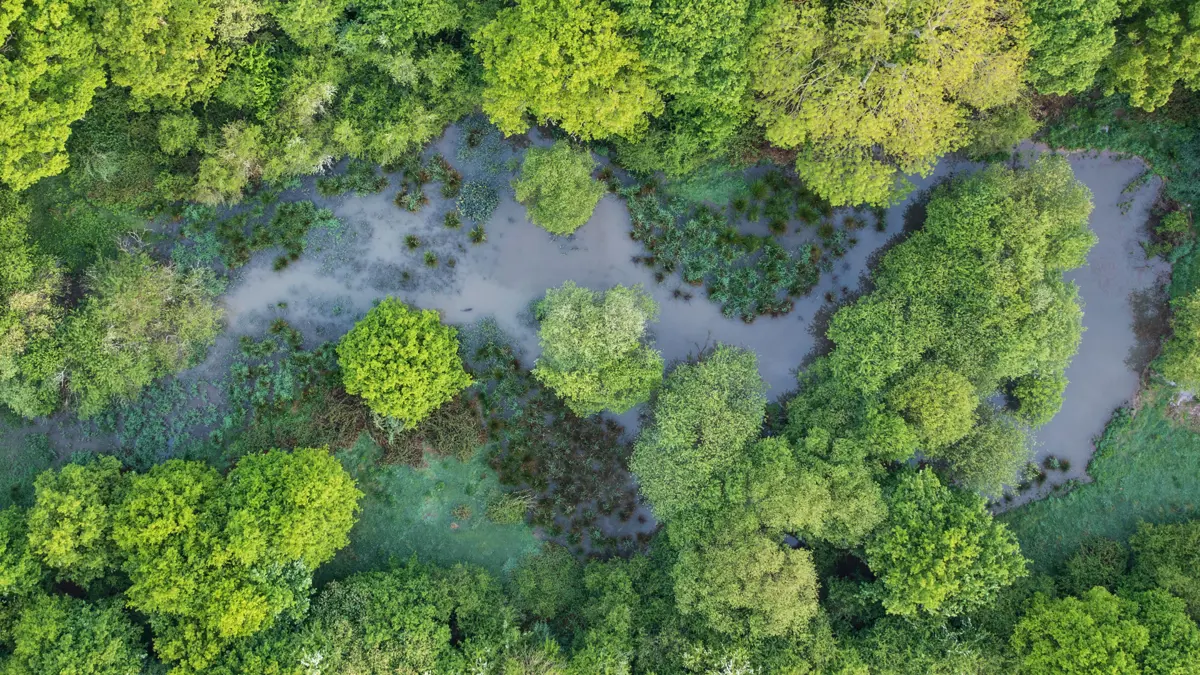 Klimate Inghams Partnership