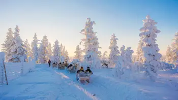 Lapland Saariselka Excursion Reindeer 4