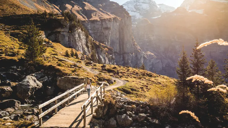 A scenic view of a landscape