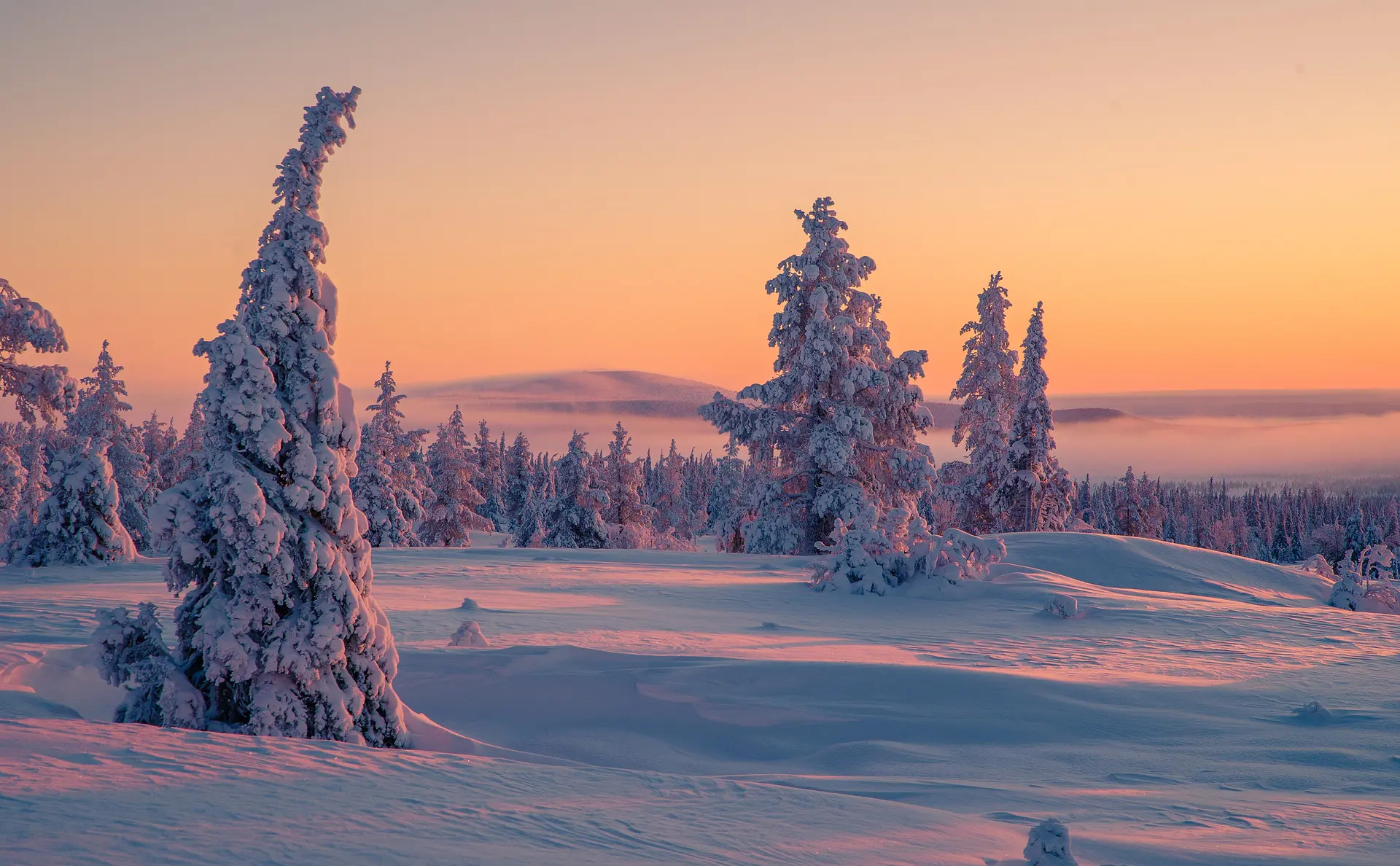 Hero Banner Background Video or Image