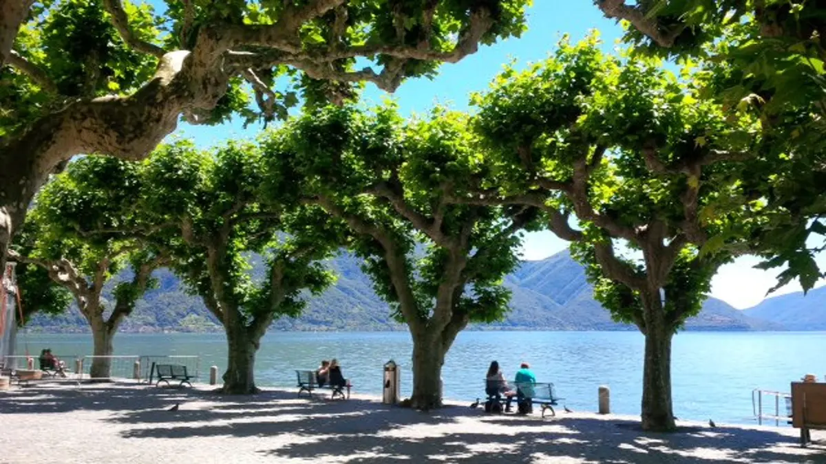 Ascona Switzerland Lake Maggiore